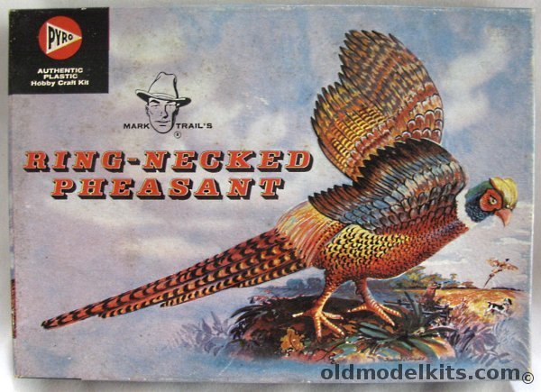 Pyro 1/1 Ring-Necked Pheasant - Mark Trail Issue, 281-98 plastic model kit